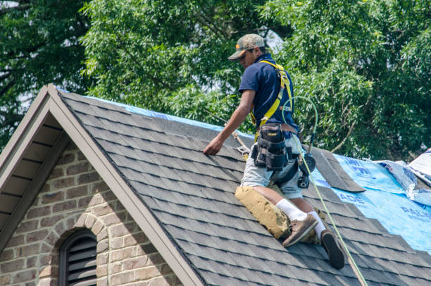 Quick and Trustworthy Emergency Roof Repair Services in Rehoboth Beach, DE